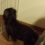 20150520_212336