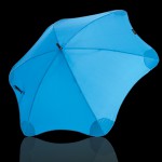 blunt-blue-main