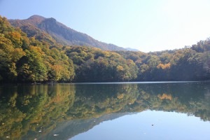 IMG_2971