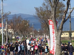IMG_2210