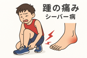 3d8d799d-88c9-4fe0-9540-0605e9d0d4d6